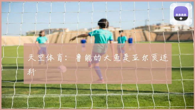 天空体育：鲁能的大鱼是亚尔莫连科