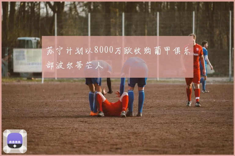 苏宁计划以8000万欧收购葡甲俱乐部波尔蒂芒人
